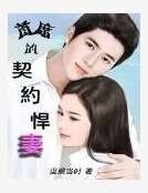 首席的契约悍妻