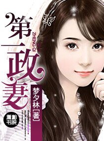 第一政妻(高幹寵文)