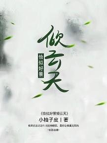 恰似好景傾雲天