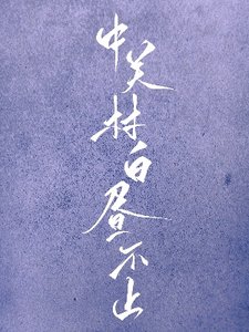 中關村白晝不止